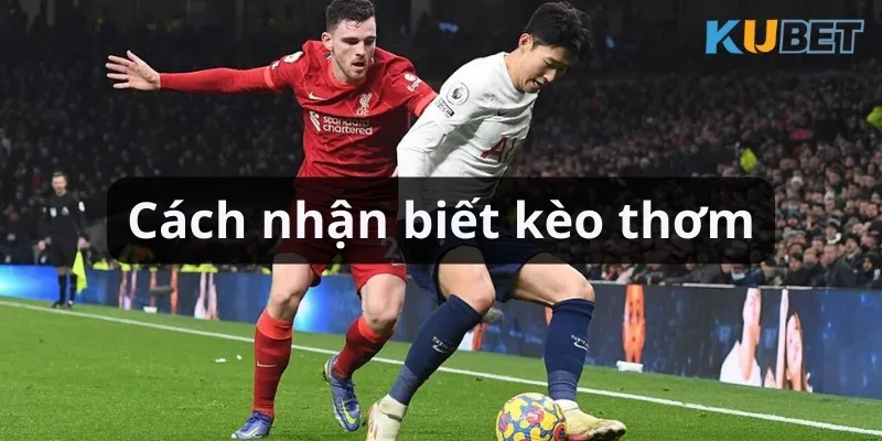 Nhận biết kèo thơm thông qua phân tích thực lực của hai đội bóng