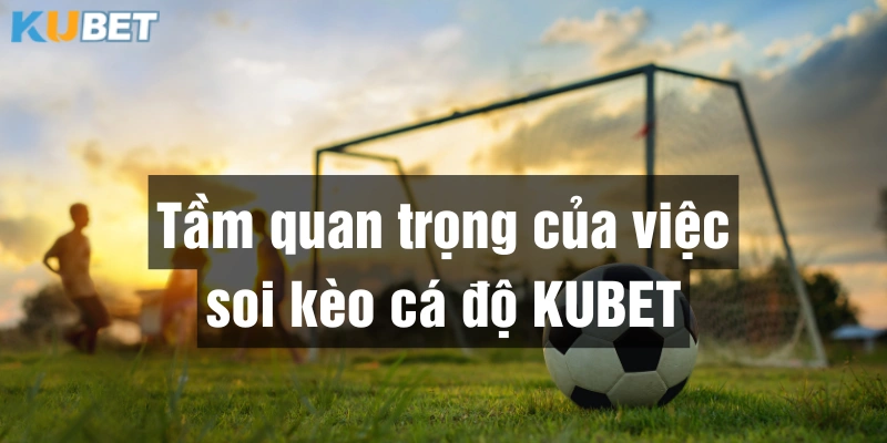 Soi kèo cá độ Kubet đóng vai trò quan trọng