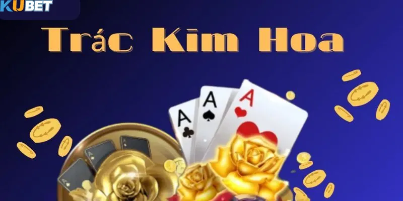 Sức hút của cá cược bài Trắc Kim Hoa