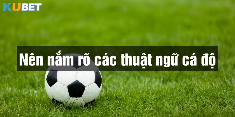 Học thuật ngữ cá độ thể thao Kubet để tăng tính chuyên nghiệp trong các ván cược